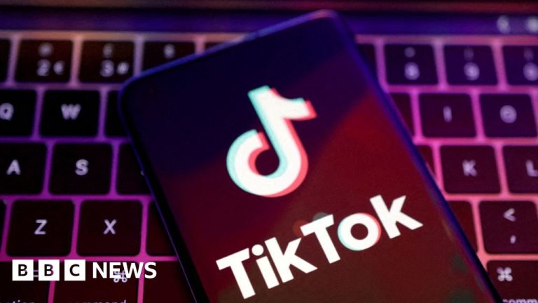 French families sue TikTok over harmful content