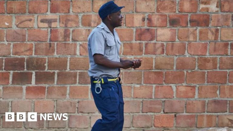 Zimbabwe police banned from using mobile phones while on duty